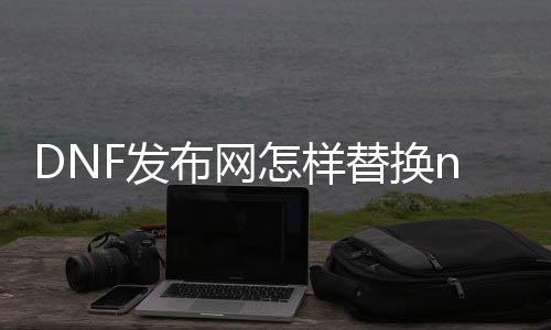 DNF发布网怎样替换npk