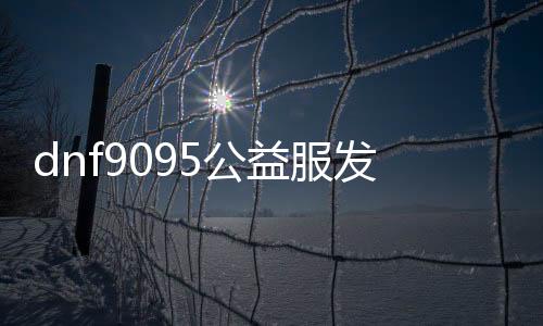 dnf9095公益服发布网（最新版本介绍及玩法攻略）